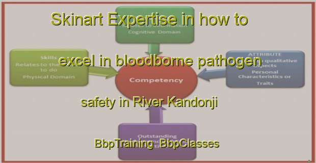 Skinart Expertise in how to excel in bloodborne pathogen safety in River Kandonji | BbpTraining | BbpClasses | SkinartTraining-Nigeria