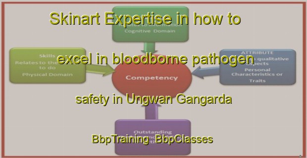 Skinart Expertise in how to excel in bloodborne pathogen safety in Ungwan Gangarda | BbpTraining | BbpClasses | SkinartTraining-Nigeria
