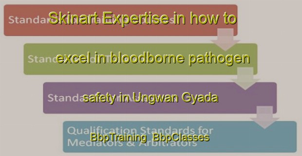 Skinart Expertise in how to excel in bloodborne pathogen safety in Ungwan Gyada | BbpTraining | BbpClasses | SkinartTraining-Nigeria