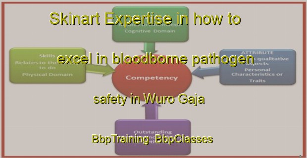 Skinart Expertise in how to excel in bloodborne pathogen safety in Wuro Gaja | BbpTraining | BbpClasses | SkinartTraining-Nigeria