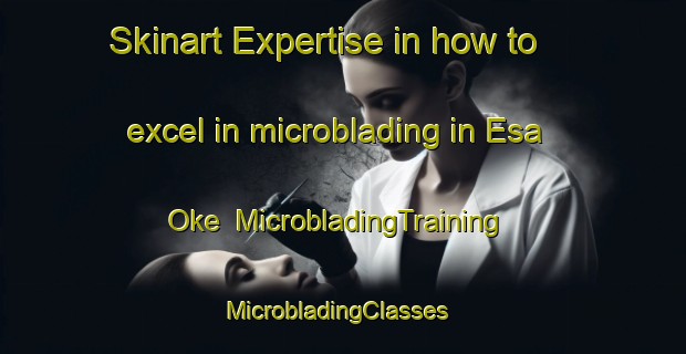 Skinart Expertise in how to excel in microblading in Esa Oke | MicrobladingTraining | MicrobladingClasses | SkinartTraining-Nigeria