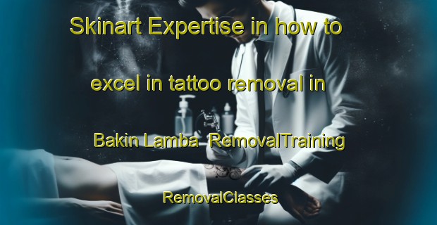 Skinart Expertise in how to excel in tattoo removal in Bakin Lamba | RemovalTraining | RemovalClasses | SkinartTraining-Nigeria
