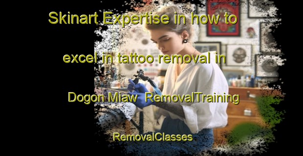 Skinart Expertise in how to excel in tattoo removal in Dogon Miaw | RemovalTraining | RemovalClasses | SkinartTraining-Nigeria