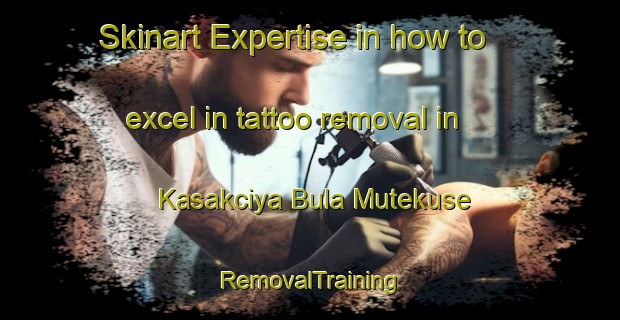 Skinart Expertise in how to excel in tattoo removal in Kasakciya Bula Mutekuse | RemovalTraining | RemovalClasses | SkinartTraining-Nigeria