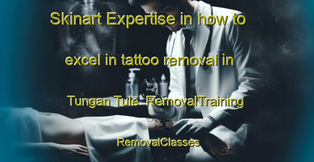 Skinart Expertise in how to excel in tattoo removal in Tungan Tule | RemovalTraining | RemovalClasses | SkinartTraining-Nigeria