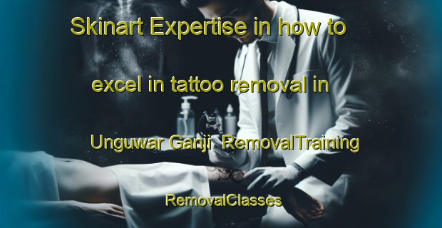 Skinart Expertise in how to excel in tattoo removal in Unguwar Ganji | RemovalTraining | RemovalClasses | SkinartTraining-Nigeria
