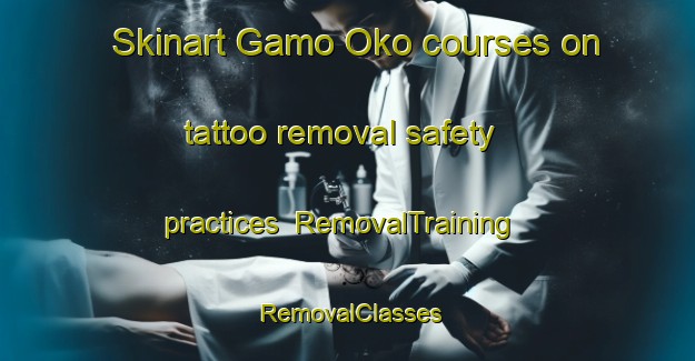 Skinart Gamo Oko courses on tattoo removal safety practices | RemovalTraining | RemovalClasses | SkinartTraining-Nigeria