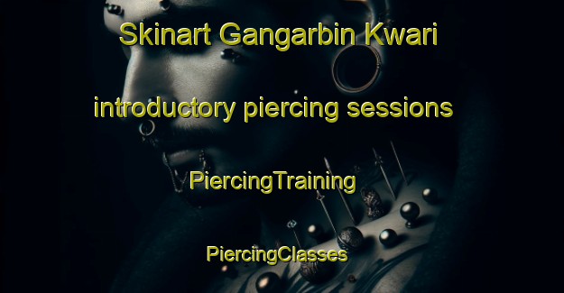 Skinart Gangarbin Kwari introductory piercing sessions | PiercingTraining | PiercingClasses | SkinartTraining-Nigeria