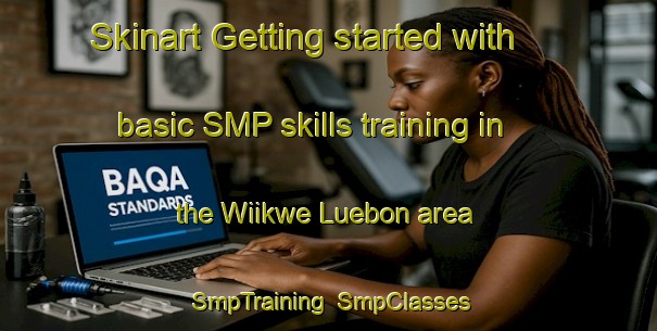 Skinart Getting started with basic SMP skills training in the Wiikwe Luebon area | SmpTraining | SmpClasses | SkinartTraining-Nigeria