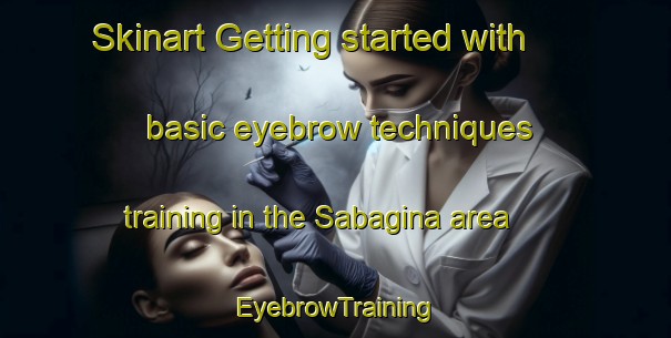 Skinart Getting started with basic eyebrow techniques training in the Sabagina area | EyebrowTraining | EyebrowClasses | SkinartTraining-Nigeria