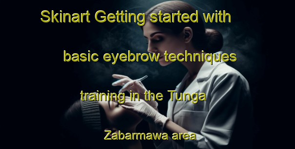 Skinart Getting started with basic eyebrow techniques training in the Tunga Zabarmawa area | EyebrowTraining | EyebrowClasses | SkinartTraining-Nigeria
