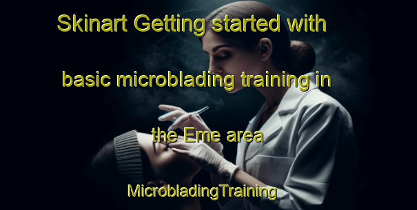 Skinart Getting started with basic microblading training in the Eme area | MicrobladingTraining | MicrobladingClasses | SkinartTraining-Nigeria
