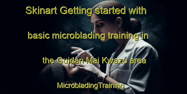 Skinart Getting started with basic microblading training in the Guidan Mai Kwazo area | MicrobladingTraining | MicrobladingClasses | SkinartTraining-Nigeria