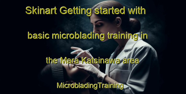 Skinart Getting started with basic microblading training in the Mara Katsinawa area | MicrobladingTraining | MicrobladingClasses | SkinartTraining-Nigeria