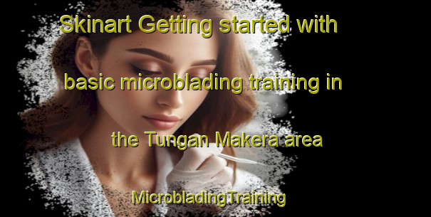Skinart Getting started with basic microblading training in the Tungan Makera area | MicrobladingTraining | MicrobladingClasses | SkinartTraining-Nigeria