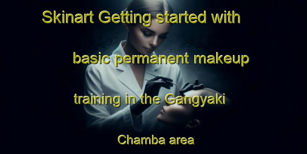 Skinart Getting started with basic permanent makeup training in the Gangyaki Chamba area | PermanentmakeupTraining | PermanentmakeupClasses | SkinartTraining-Nigeria