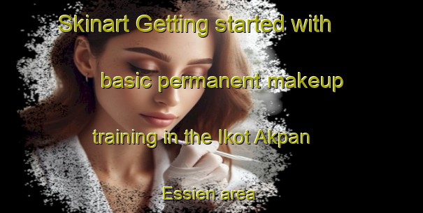 Skinart Getting started with basic permanent makeup training in the Ikot Akpan Essien area | PermanentmakeupTraining | PermanentmakeupClasses | SkinartTraining-Nigeria