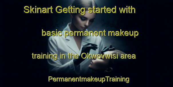 Skinart Getting started with basic permanent makeup training in the Okwovwisi area | PermanentmakeupTraining | PermanentmakeupClasses | SkinartTraining-Nigeria