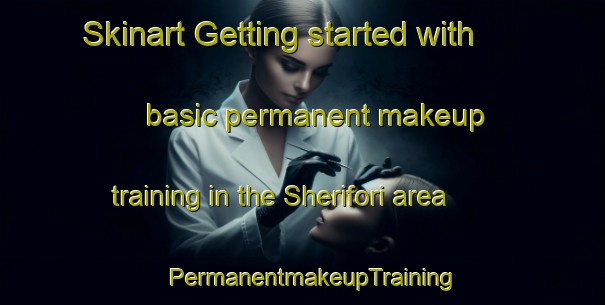 Skinart Getting started with basic permanent makeup training in the Sherifori area | PermanentmakeupTraining | PermanentmakeupClasses | SkinartTraining-Nigeria