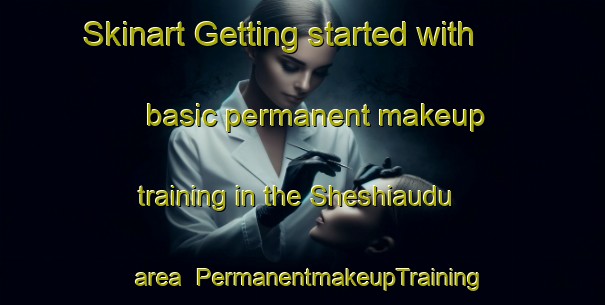 Skinart Getting started with basic permanent makeup training in the Sheshiaudu area | PermanentmakeupTraining | PermanentmakeupClasses | SkinartTraining-Nigeria