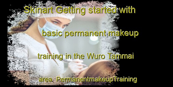 Skinart Getting started with basic permanent makeup training in the Wuro Tammai area | PermanentmakeupTraining | PermanentmakeupClasses | SkinartTraining-Nigeria