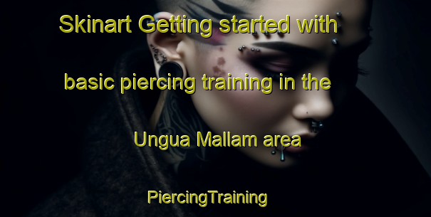 Skinart Getting started with basic piercing training in the Ungua Mallam area | PiercingTraining | PiercingClasses | SkinartTraining-Nigeria