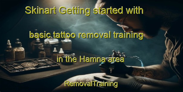 Skinart Getting started with basic tattoo removal training in the Hamna area | RemovalTraining | RemovalClasses | SkinartTraining-Nigeria