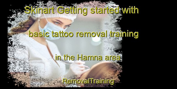 Skinart Getting started with basic tattoo removal training in the Hamna area | RemovalTraining | RemovalClasses | SkinartTraining-Nigeria