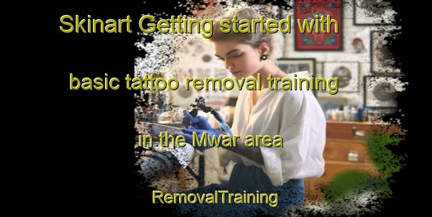 Skinart Getting started with basic tattoo removal training in the Mwar area | RemovalTraining | RemovalClasses | SkinartTraining-Nigeria