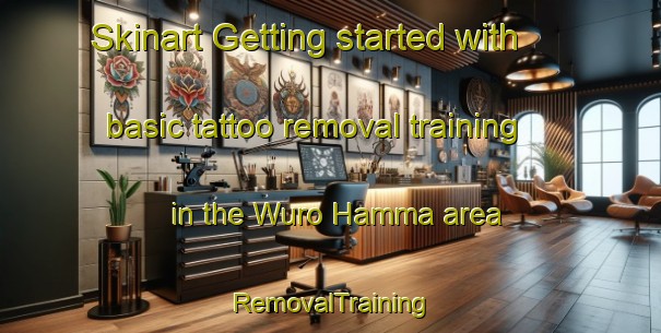 Skinart Getting started with basic tattoo removal training in the Wuro Hamma area | RemovalTraining | RemovalClasses | SkinartTraining-Nigeria