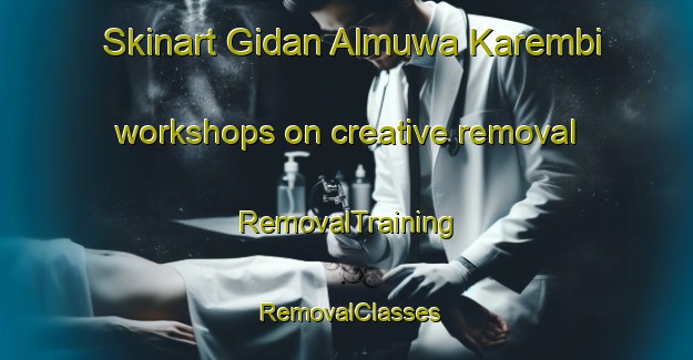 Skinart Gidan Almuwa Karembi workshops on creative removal | RemovalTraining | RemovalClasses | SkinartTraining-Nigeria