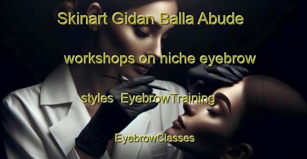 Skinart Gidan Balla Abude workshops on niche eyebrow styles | EyebrowTraining | EyebrowClasses | SkinartTraining-Nigeria
