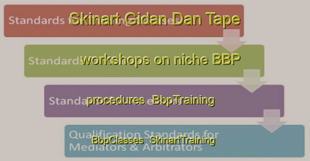 Skinart Gidan Dan Tape workshops on niche BBP procedures | BbpTraining | BbpClasses | SkinartTraining-Nigeria