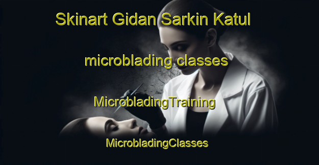 Skinart Gidan Sarkin Katul microblading classes | MicrobladingTraining | MicrobladingClasses | SkinartTraining-Nigeria