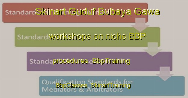 Skinart Guduf Bubaya Gawa workshops on niche BBP procedures | BbpTraining | BbpClasses | SkinartTraining-Nigeria