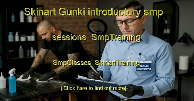 Skinart Gunki introductory smp sessions | SmpTraining | SmpClasses | SkinartTraining-Nigeria