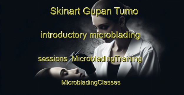 Skinart Gupan Tumo introductory microblading sessions | MicrobladingTraining | MicrobladingClasses | SkinartTraining-Nigeria