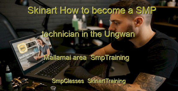 Skinart How to become a SMP technician in the Ungwan Mallamai area | SmpTraining | SmpClasses | SkinartTraining-Nigeria