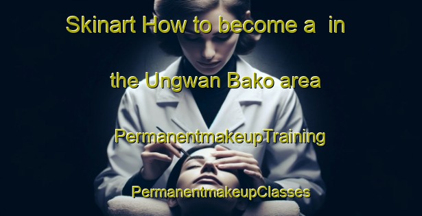 Skinart How to become a  in the Ungwan Bako area | #PermanentmakeupTraining #PermanentmakeupClasses #SkinartTraining-Nigeria