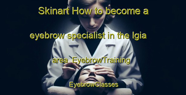 Skinart How to become a eyebrow specialist in the Igia area | EyebrowTraining | EyebrowClasses | SkinartTraining-Nigeria