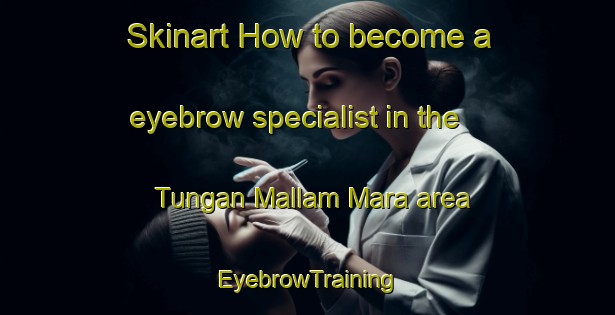Skinart How to become a eyebrow specialist in the Tungan Mallam Mara area | EyebrowTraining | EyebrowClasses | SkinartTraining-Nigeria