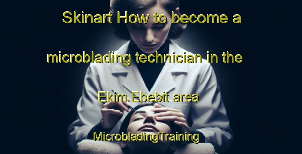 Skinart How to become a microblading technician in the Ekim Ebebit area | MicrobladingTraining | MicrobladingClasses | SkinartTraining-Nigeria