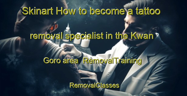 Skinart How to become a tattoo removal specialist in the Kwan Goro area | RemovalTraining | RemovalClasses | SkinartTraining-Nigeria