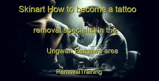 Skinart How to become a tattoo removal specialist in the Ungwan Barnawa area | RemovalTraining | RemovalClasses | SkinartTraining-Nigeria