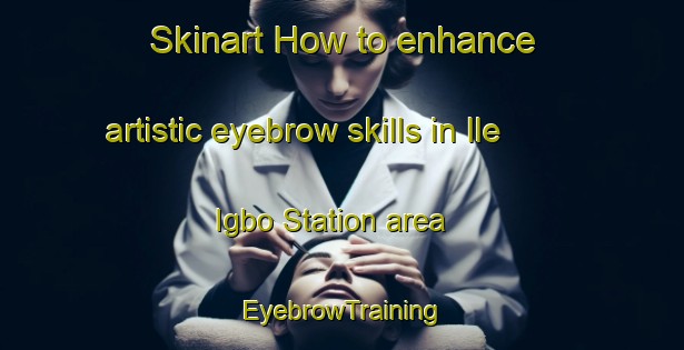 Skinart How to enhance artistic eyebrow skills in Ile Igbo Station area | EyebrowTraining | EyebrowClasses | SkinartTraining-Nigeria