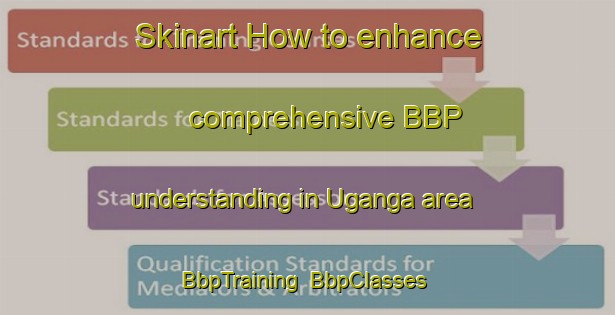Skinart How to enhance comprehensive BBP understanding in Uganga area | BbpTraining | BbpClasses | SkinartTraining-Nigeria