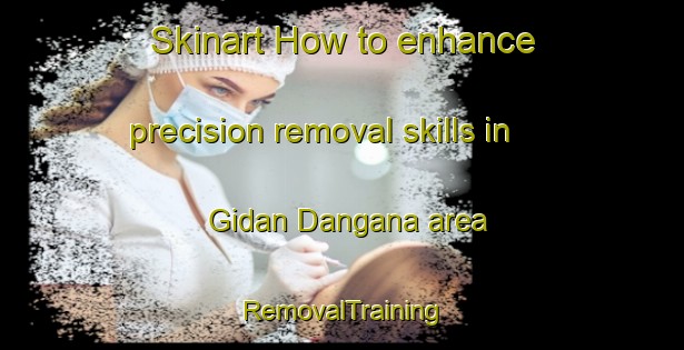 Skinart How to enhance precision removal skills in Gidan Dangana area | RemovalTraining | RemovalClasses | SkinartTraining-Nigeria