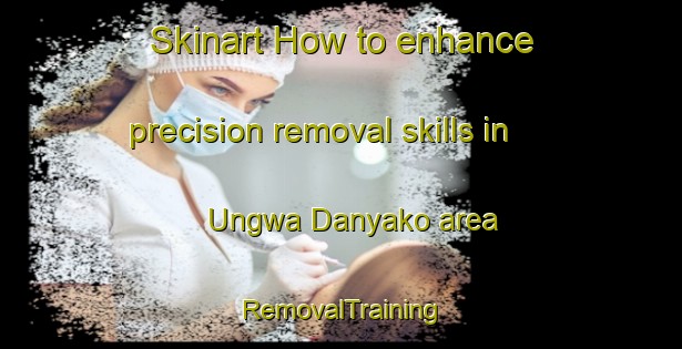 Skinart How to enhance precision removal skills in Ungwa Danyako area | RemovalTraining | RemovalClasses | SkinartTraining-Nigeria