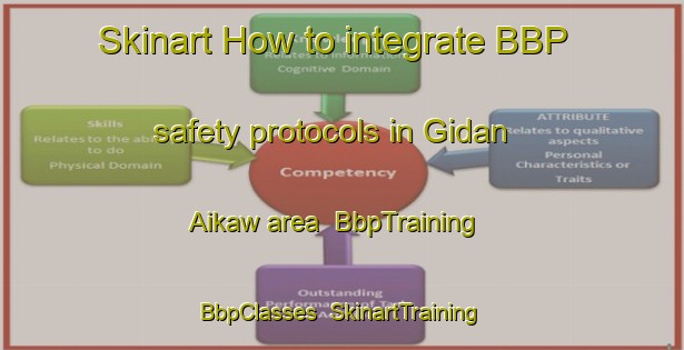 Skinart How to integrate BBP safety protocols in Gidan Aikaw area | BbpTraining | BbpClasses | SkinartTraining-Nigeria