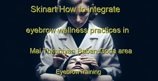 Skinart How to integrate eyebrow wellness practices in Mai Tukuniyan Baban Gona area | EyebrowTraining | EyebrowClasses | SkinartTraining-Nigeria